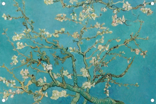 Amandelbloesem - Vincent van Gogh - Tuinposter 