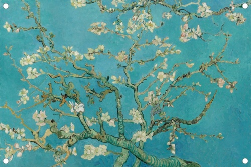 Amandelbloesem - Vincent van Gogh - Tuinposter