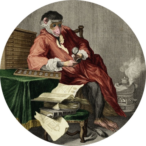 The Monkey Antiquarian ingekleurd - Pierre-Louis de Surugue - Muurcirkel