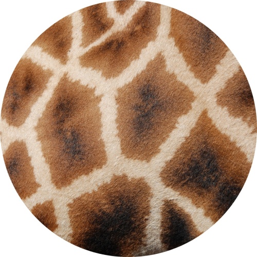 Giraffe print - Muurcirkel