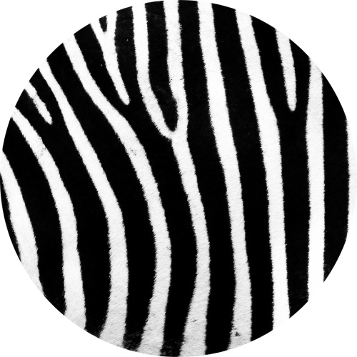 Zebraprint - Muurcirkel