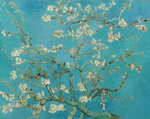 Amandelbloesem - van Gogh