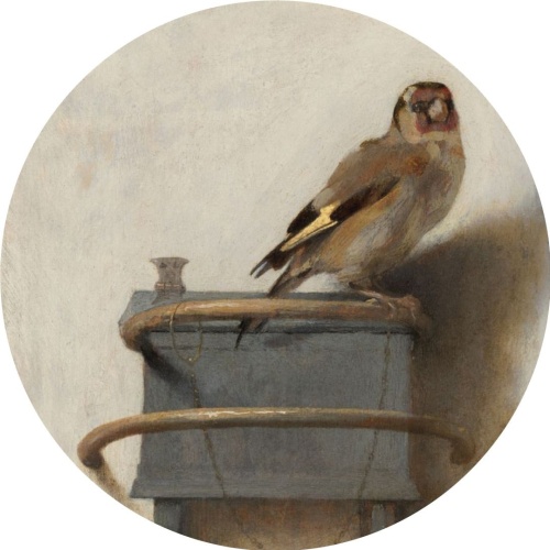  Het Puttertje - Carel Fabritius - 40 cm dibond - Muurcirkel