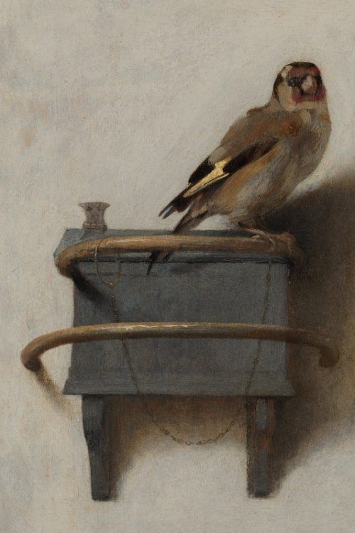 Het Puttertje - Carel Fabritius - 30 x 45 cm (canvas)