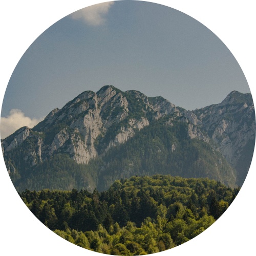 Groene bergen - Muurcirkel