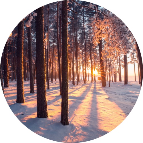 Zonsopgang in de sneeuw - muurcirkel