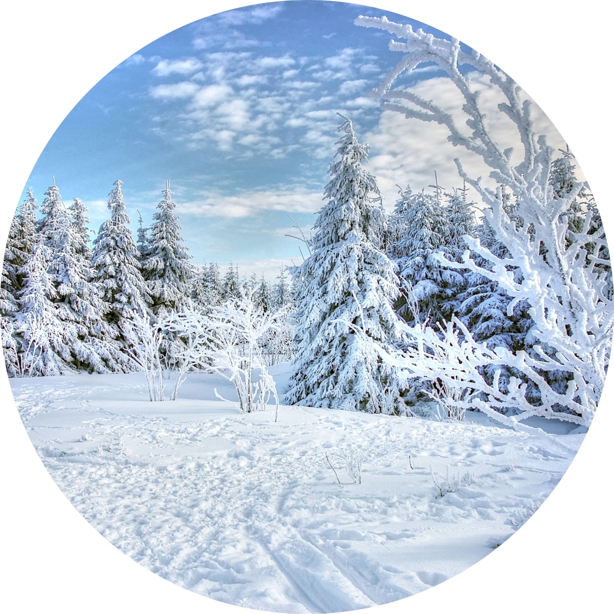 Sneeuw landschap - muurcirkel