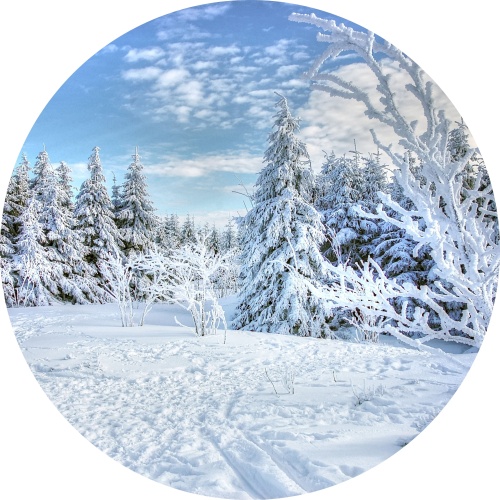 Sneeuw landschap - muurcirkel