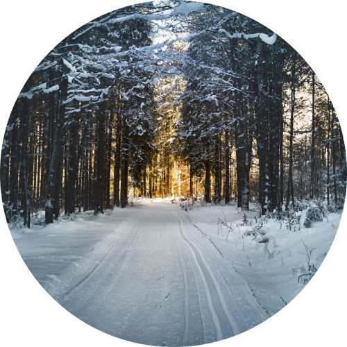 Besneeuwd pad in het bos - muurcirkel