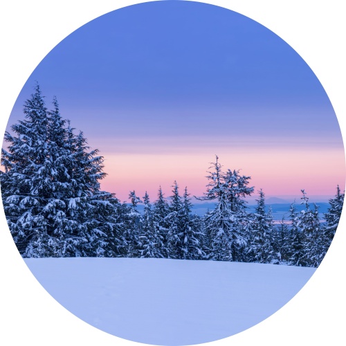 Paars winterlandschap - muurcirkel
