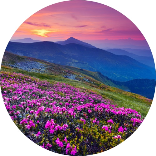 Gebergte met bloemen - Muurcirkel