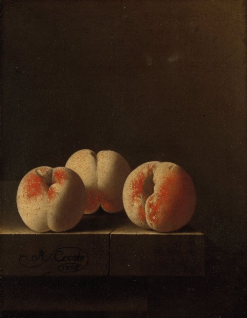 Drie perziken op een stenen plint - Adriaen Coorte
