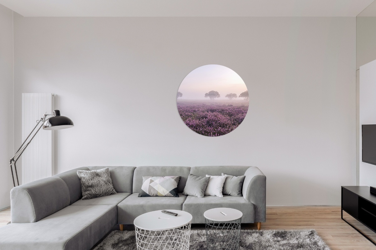 product-image-678